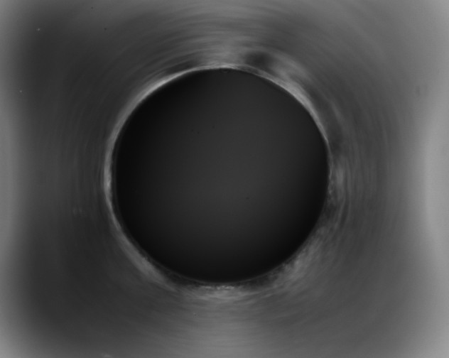 X0000089350811200706151100