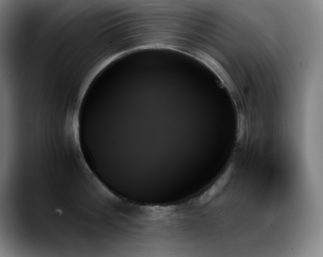 X0000089350812200706151100