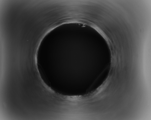 X0000089350813200706151100
