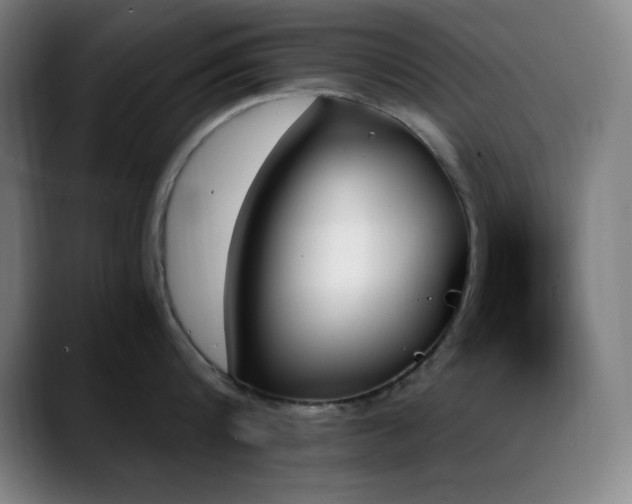 X0000089350816200706151100