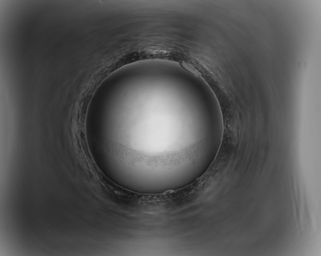 X0000089350817200706151059