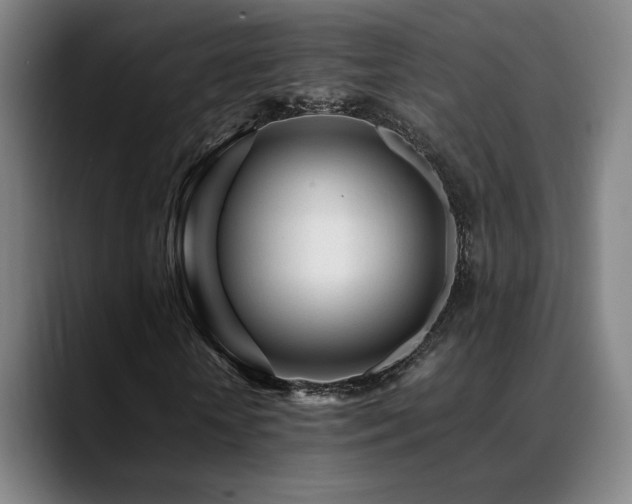 X0000089350818200706151059