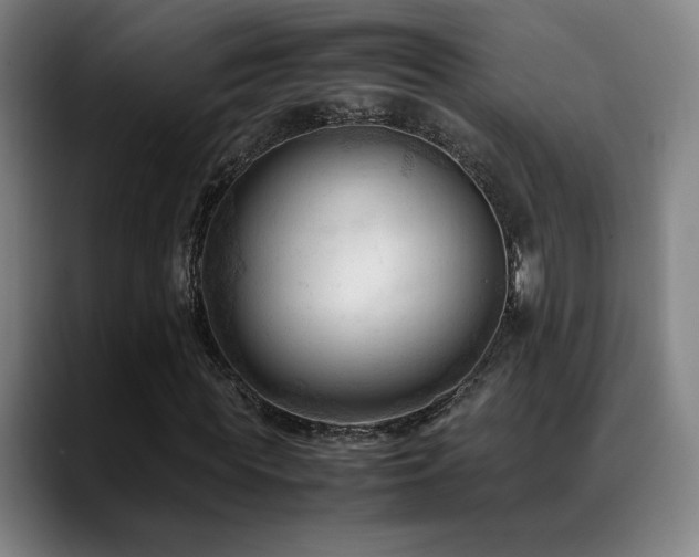 X0000089350819200706151059