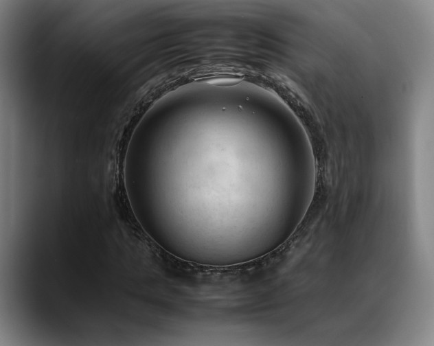 X0000089350821200706151059
