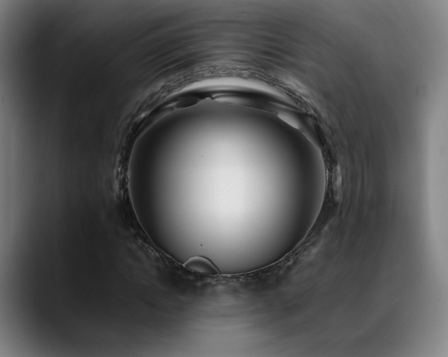 X0000089350822200706151059