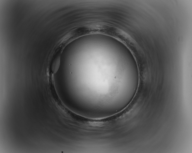 X0000089350825200706151100
