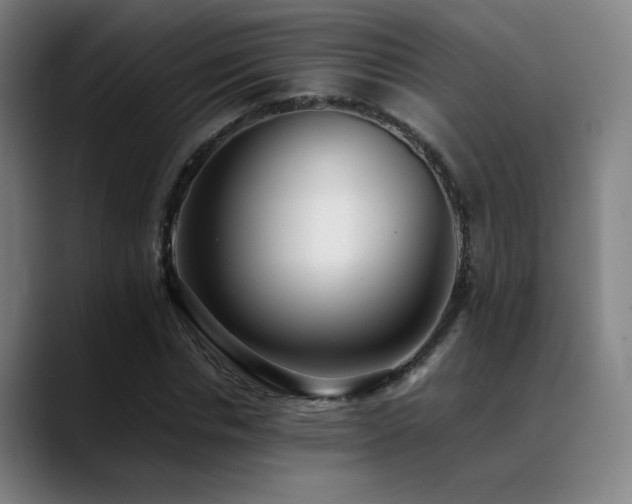 X0000089350826200706151100