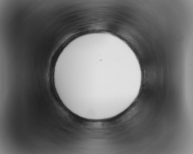 X0000089350828200706151100