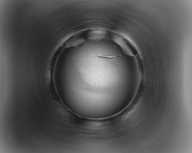X0000089350829200706151100