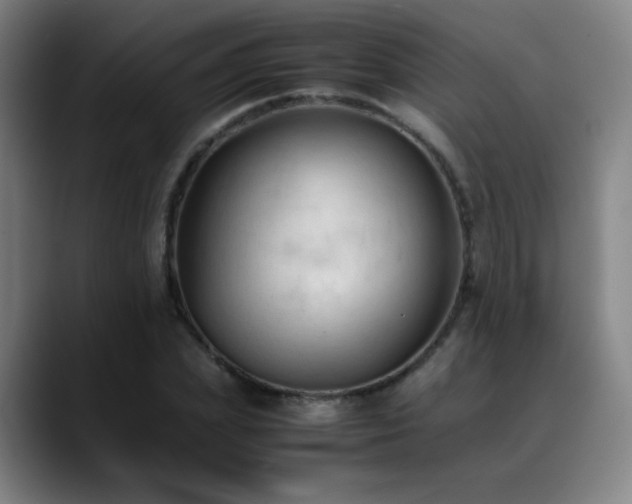 X0000089350831200706151100