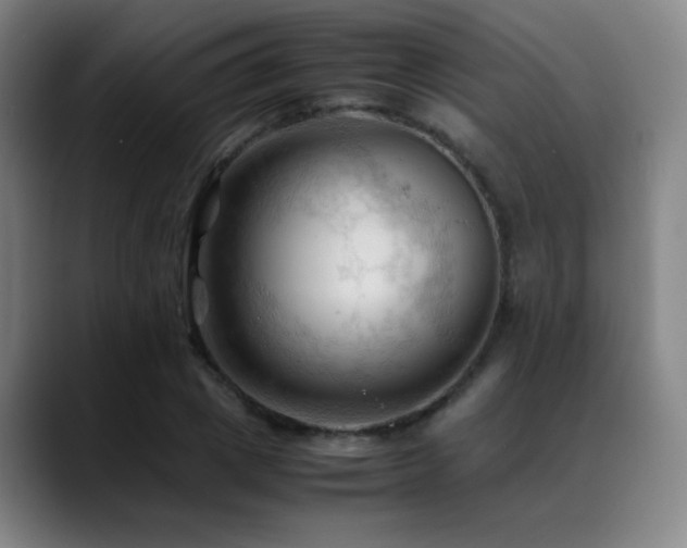 X0000089350833200706151100