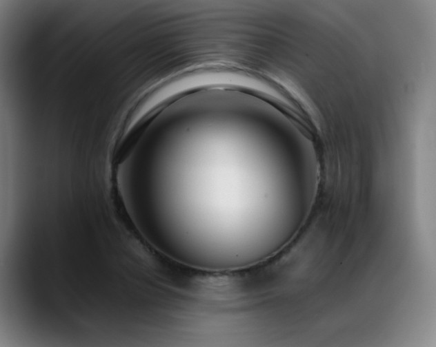 X0000089350834200706151100