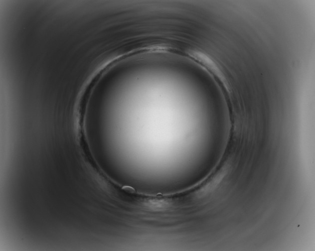 X0000089350835200706151100