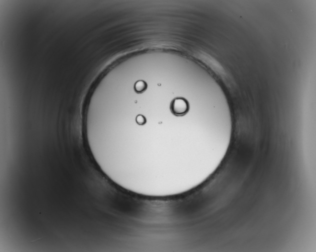 X0000089350836200706151100