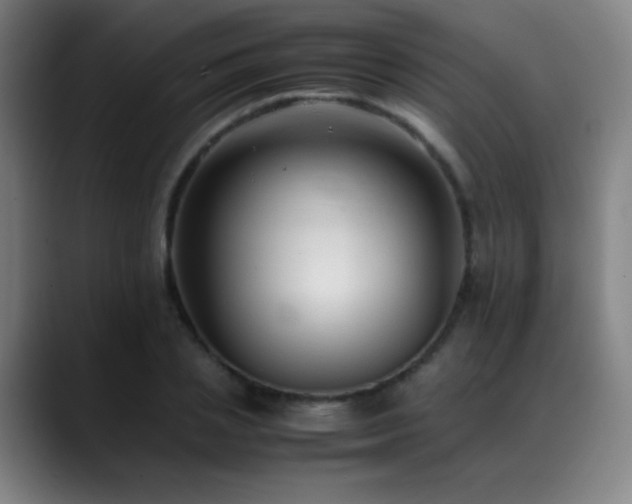 X0000089350837200706151100
