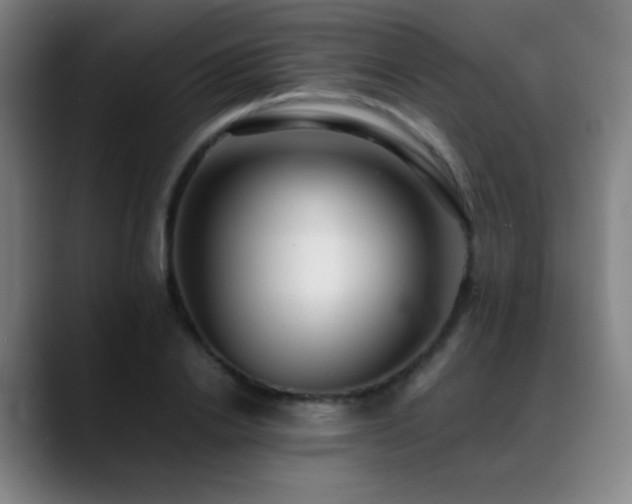 X0000089350838200706151100