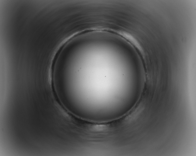 X0000089350839200706151100