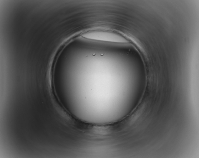 X0000089350840200706151100