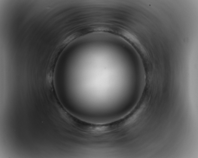 X0000089350841200706151100