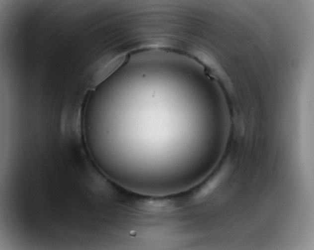 X0000089350842200706151100
