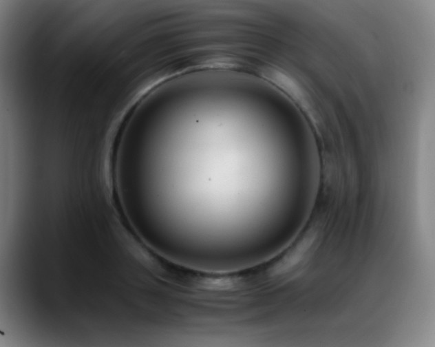 X0000089350843200706151100