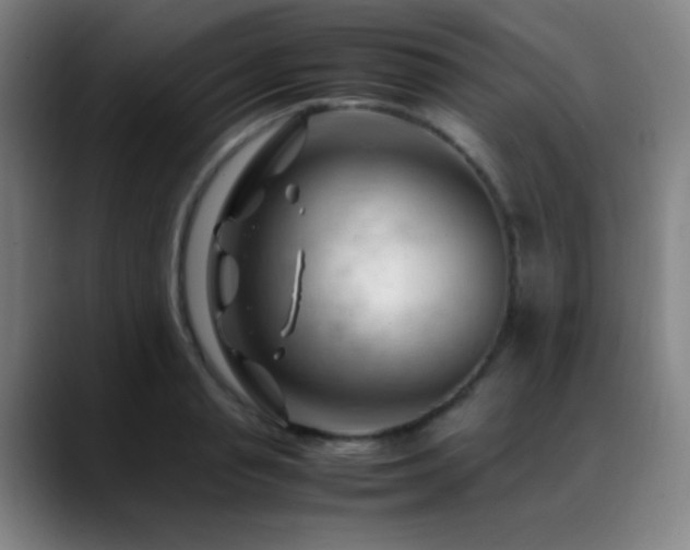 X0000089350845200706151100