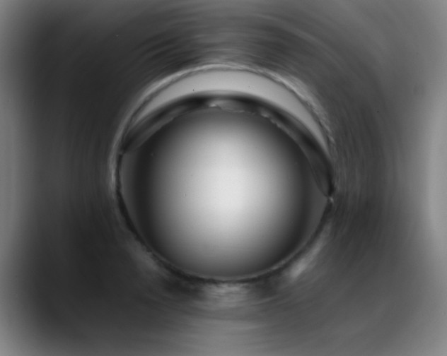 X0000089350846200706151100