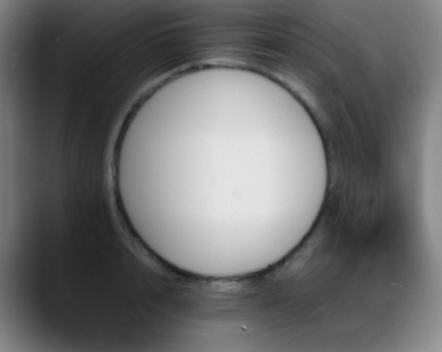 X0000089350848200706151100