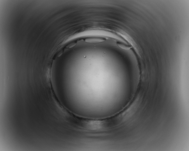 X0000089350849200706151100