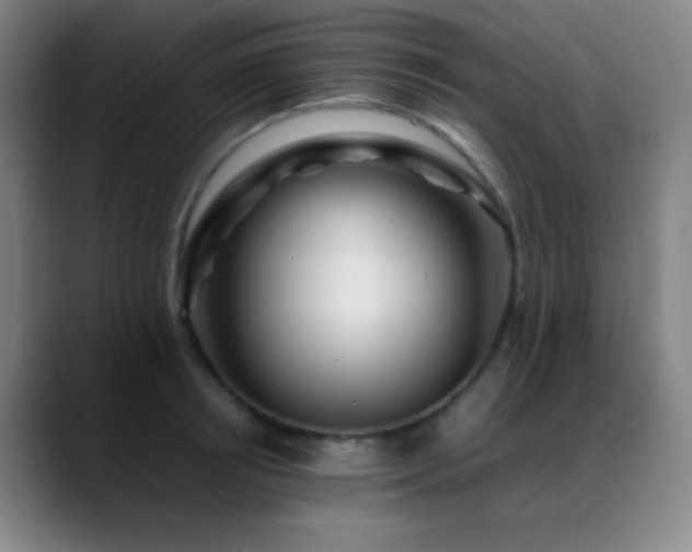 X0000089350850200706151100