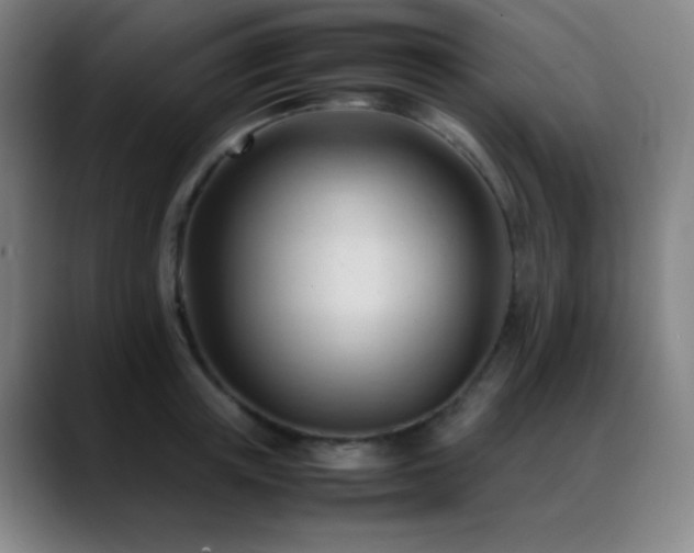 X0000089350851200706151100