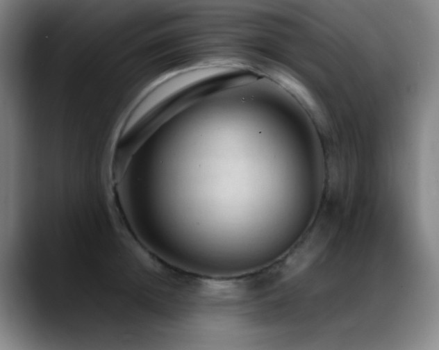 X0000089350852200706151100