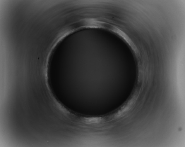 X0000089350853200706151100