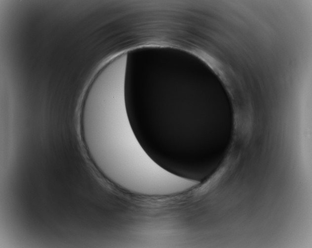 X0000089350854200706151100