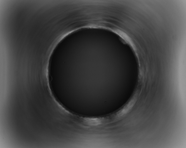 X0000089350855200706151100
