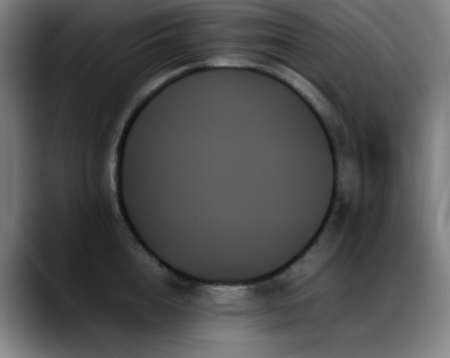 X0000089350856200706151100