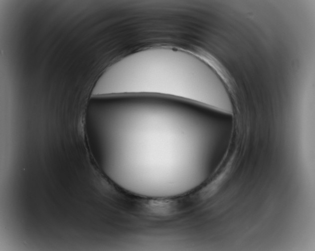 X0000089350857200706151100