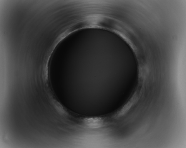 X0000089350858200706151100