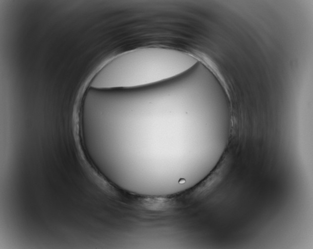 X0000089350859200706151100
