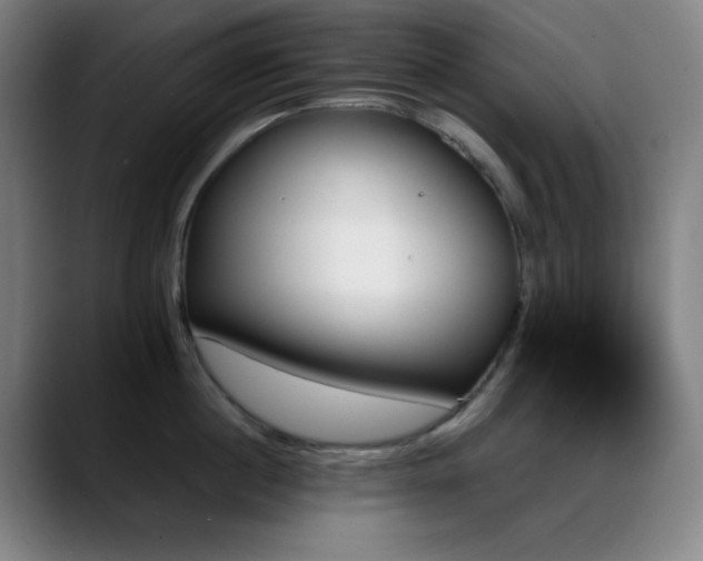 X0000089350860200706151100