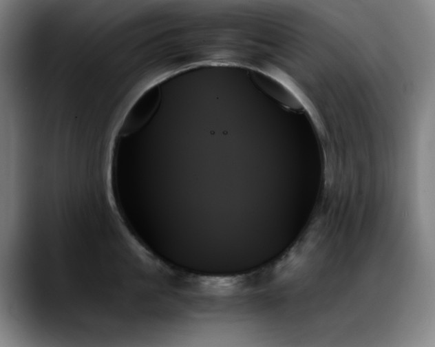 X0000089350861200706151100