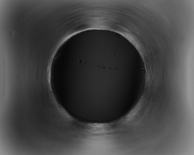X0000089350862200706151100