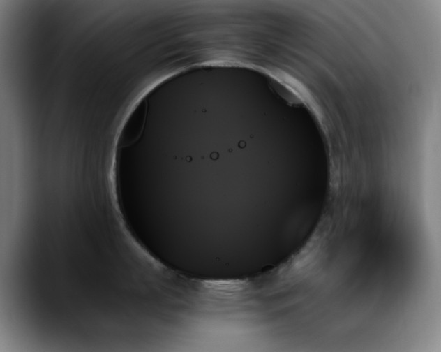 X0000089350863200706151100