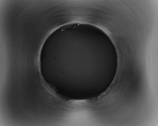 X0000089350864200706151100