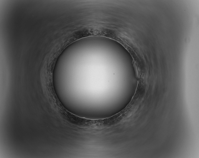 X0000089350865200706151059