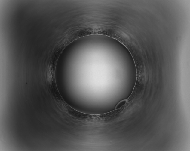 X0000089350866200706151059
