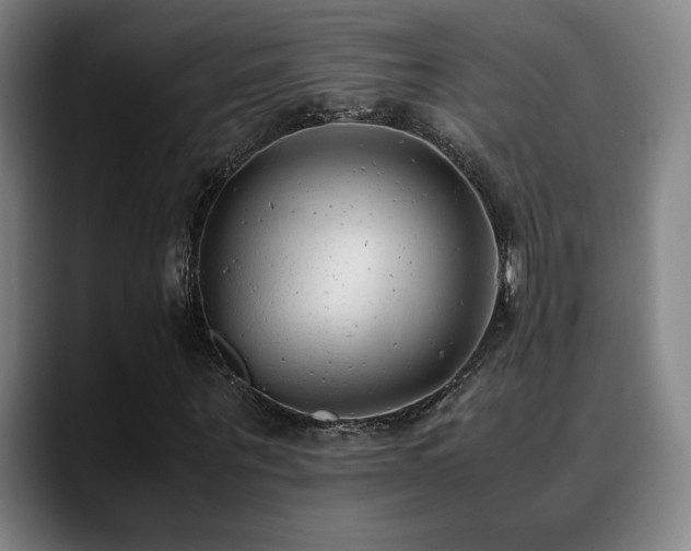 X0000089350867200706151059