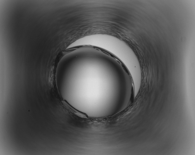 X0000089350868200706151059