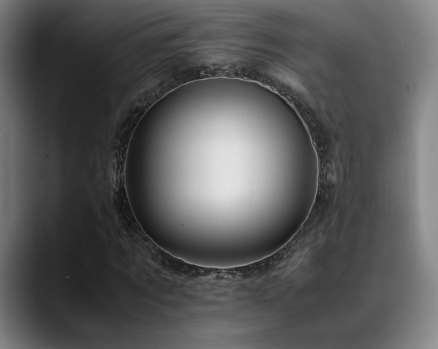 X0000089350869200706151059