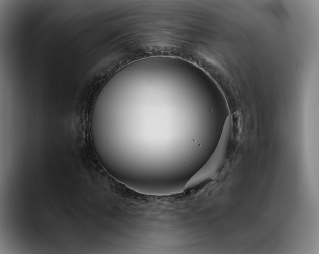 X0000089350870200706151059